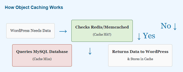 wordpress mysql database