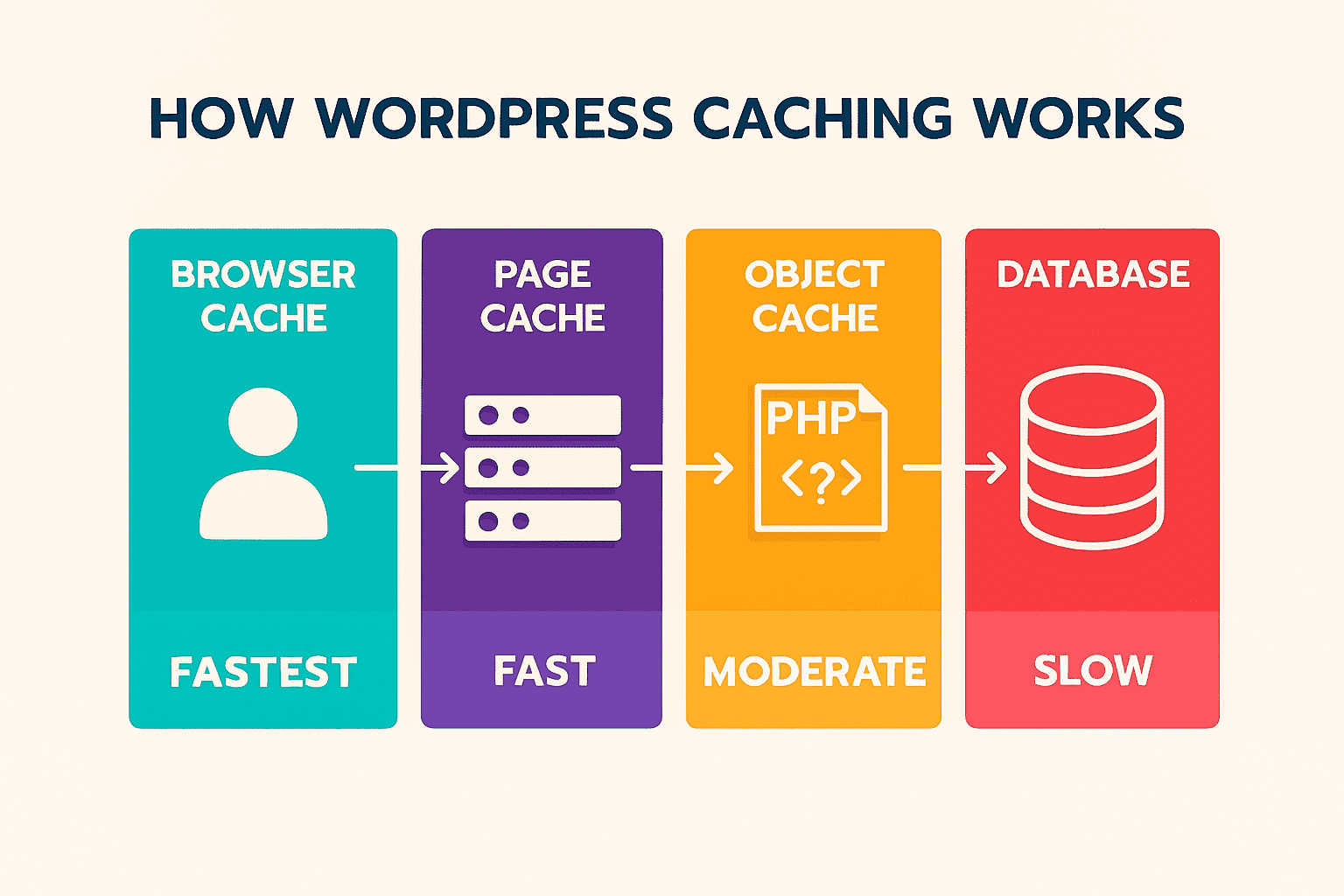 wordpress mysql