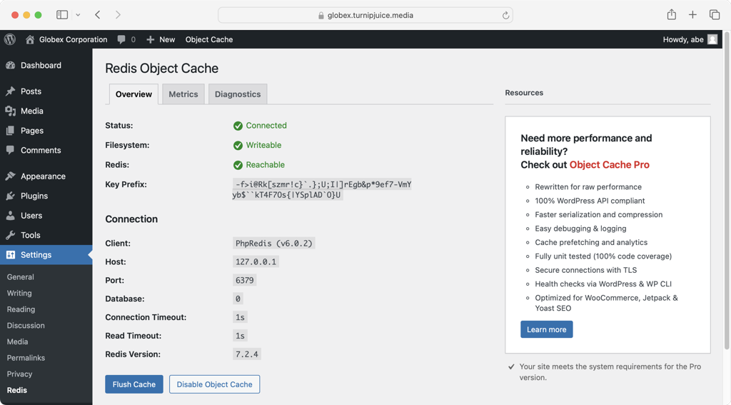 redis object cache plugin