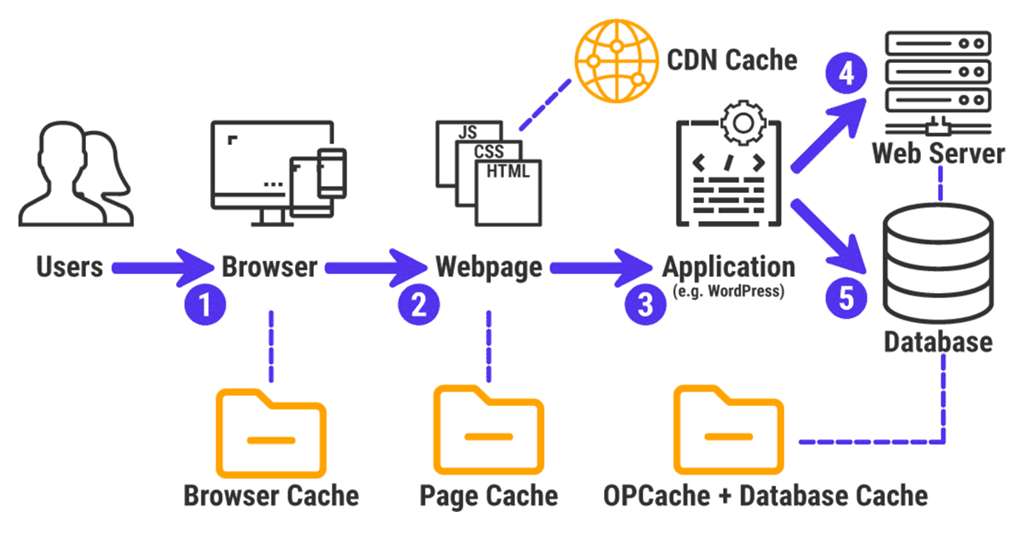 wordpress cache database